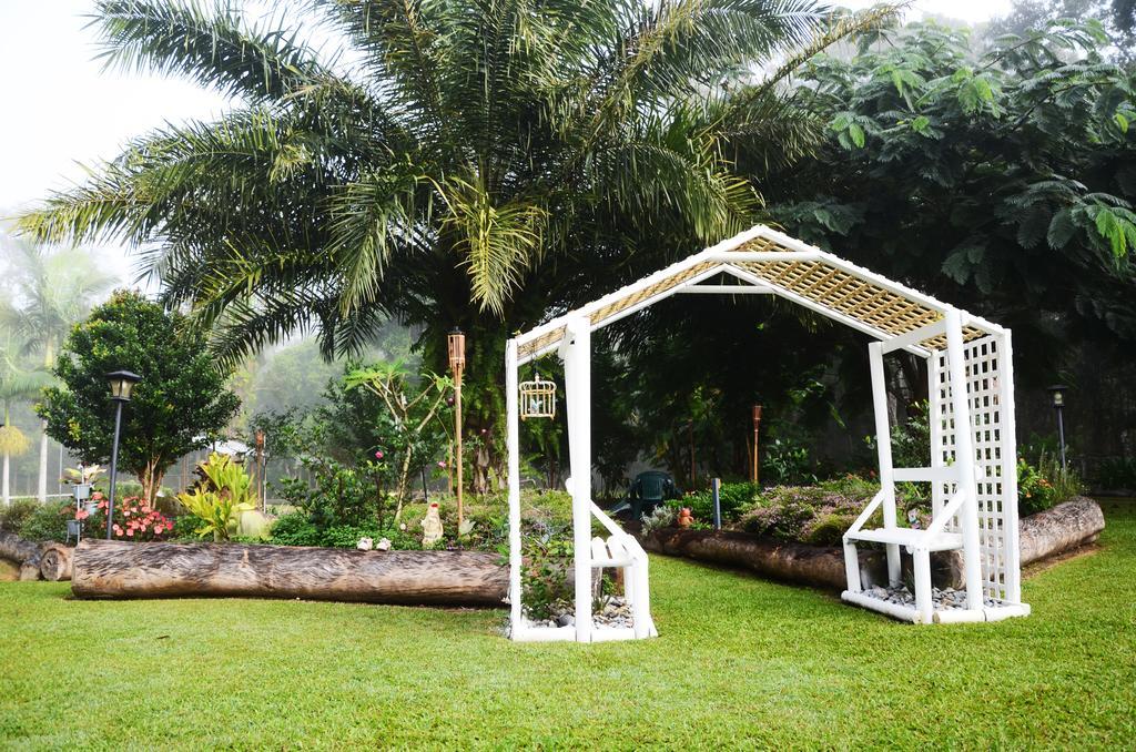 Ronday-Voo Bed And Breakfast Speewah Habitación foto
